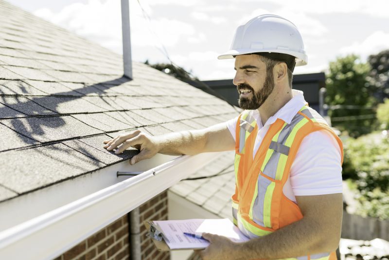 Roof Inspection Professional